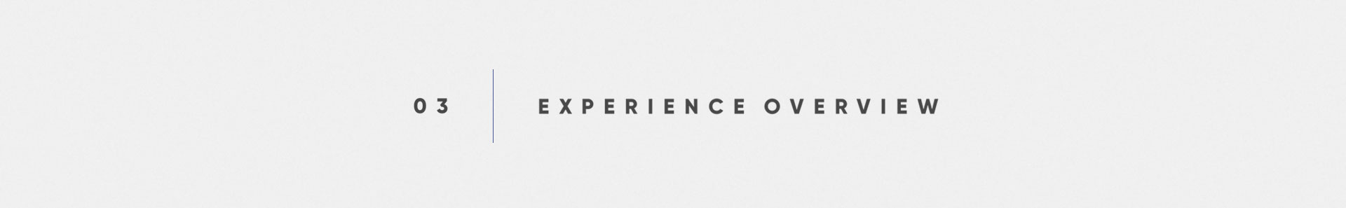 03 Experience Overview