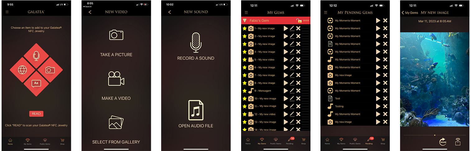Original app interface — five dark-themed iPhone screens showing the previous Add a Memory flow: a red diamond gem icon menu with options for Take a Picture, Record a Sound, Make a Video, Open a File, and Select from Gallery; followed by list-based file management screens with a dark red color scheme.